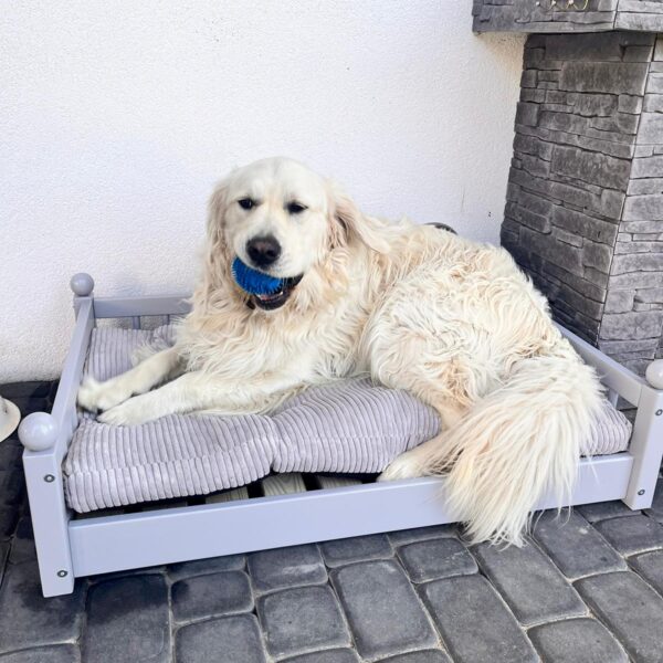 Hundebett Taco aus Naturholz in Größe L in natur, weiss und grau