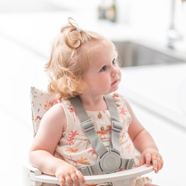 Norstol Peak 5-Punkt Sicherheitsgurt – passend zum höhenverstellbaren Kinderstuhl